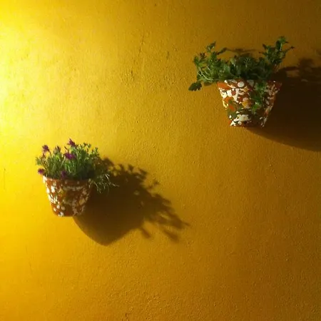 Pateo D'aldeia Sintra