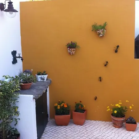 Pateo D'aldeia
